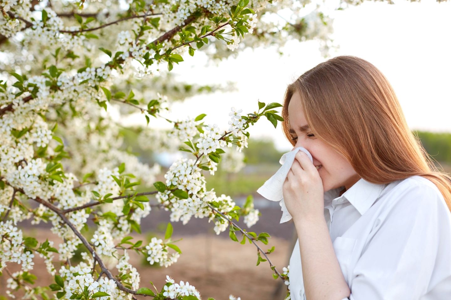 春季花粉过敏：过敏性鼻炎的科学治疗与预防方法